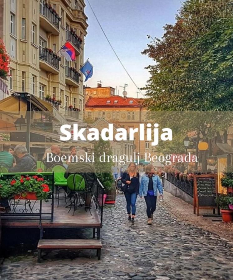 Top Spot Apartment Belgrad Dış mekan fotoğraf